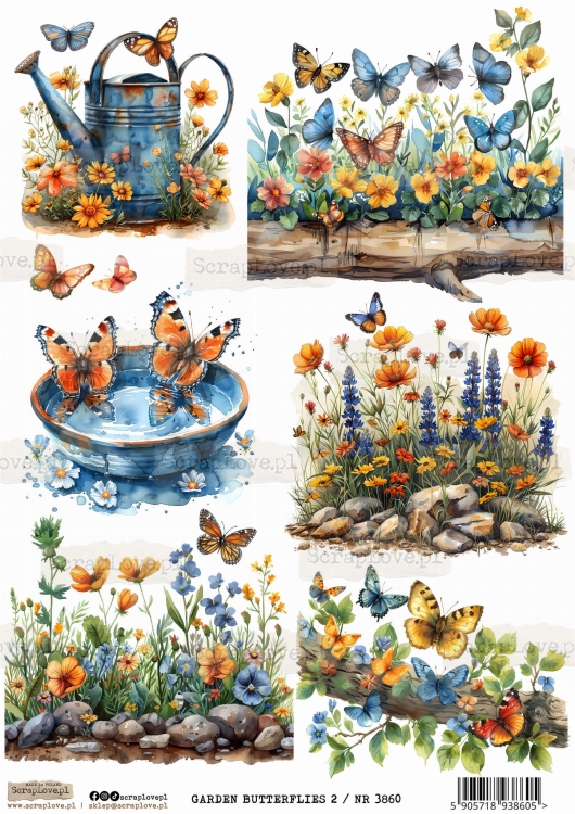 Garden butterflies 2 : NR 3860 .jpg