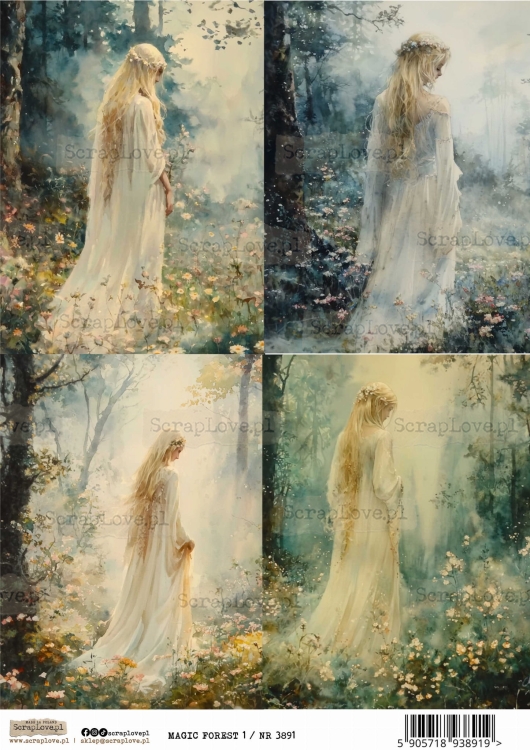 magic forest 1 :NR 3891.jpg