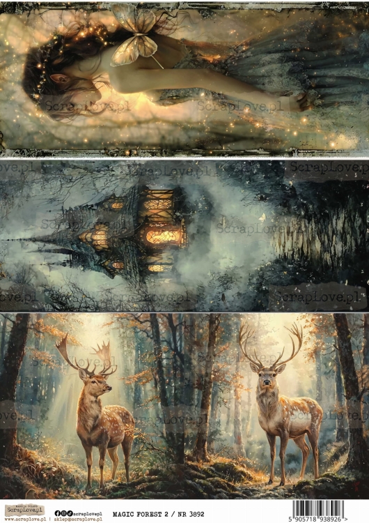 magic forest 2 :NR 3892.jpg