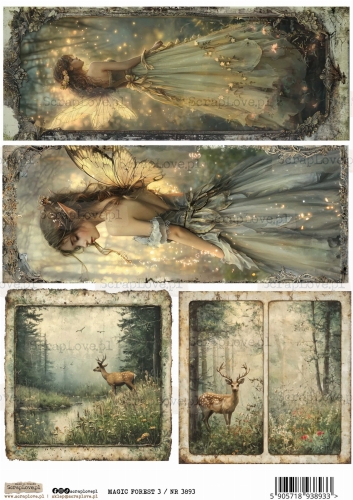 magic forest  3 :NR 3893.jpg