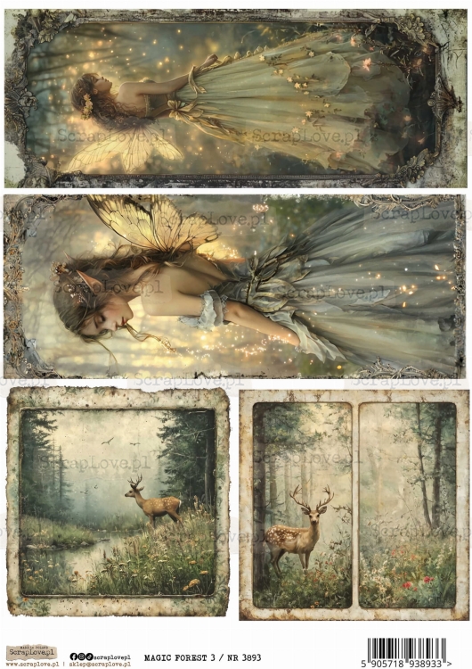 magic forest  3 :NR 3893.jpg