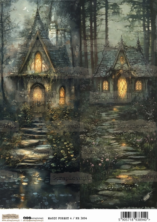 magic forest  4 :NR 3894.jpg