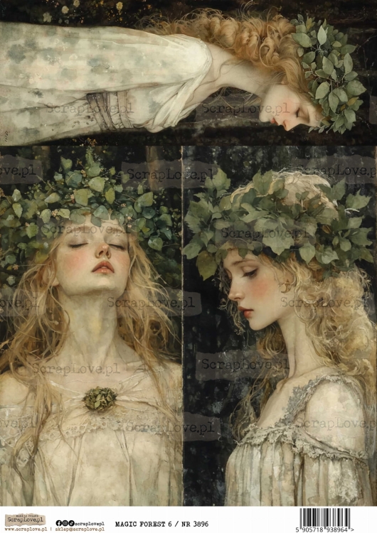 magic forest 6 :NR 3896.jpg