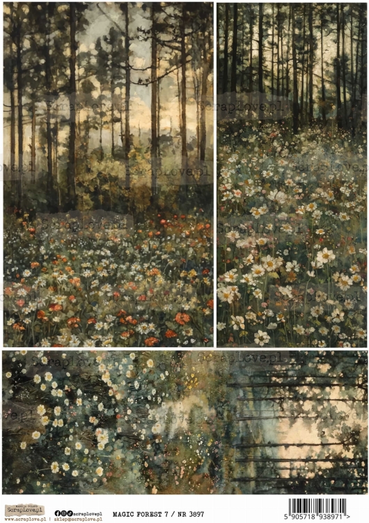 magic forest 7 :NR 3897.jpg