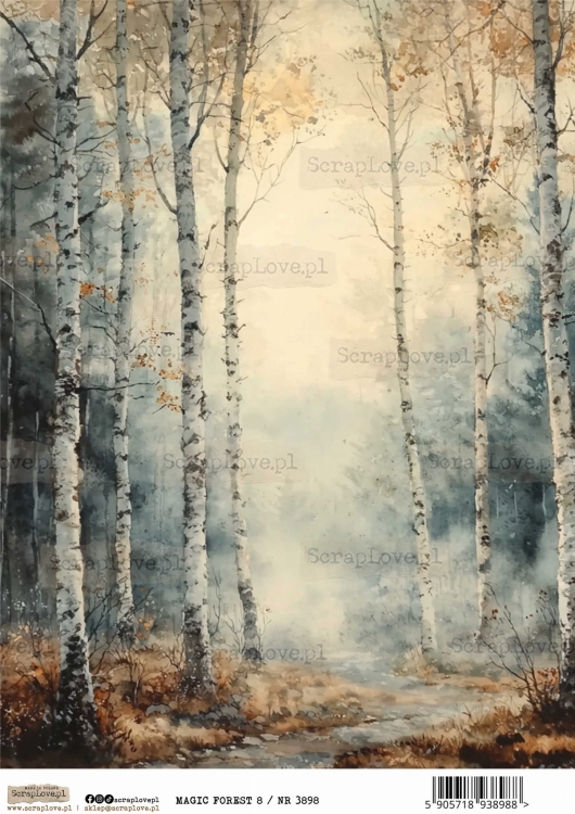 magic forest 8 :NR 3898.jpg