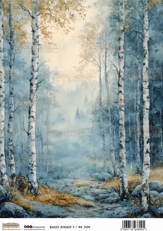 magic forest 9 :NR 3899.jpg