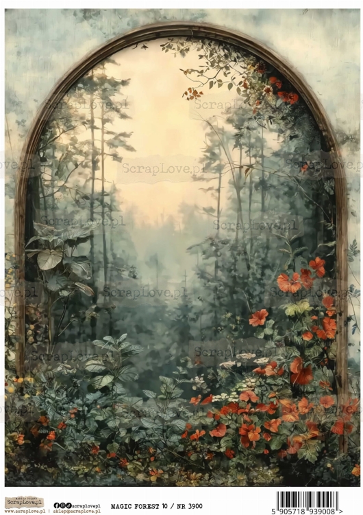 magic forest 10 :NR 3900.jpg