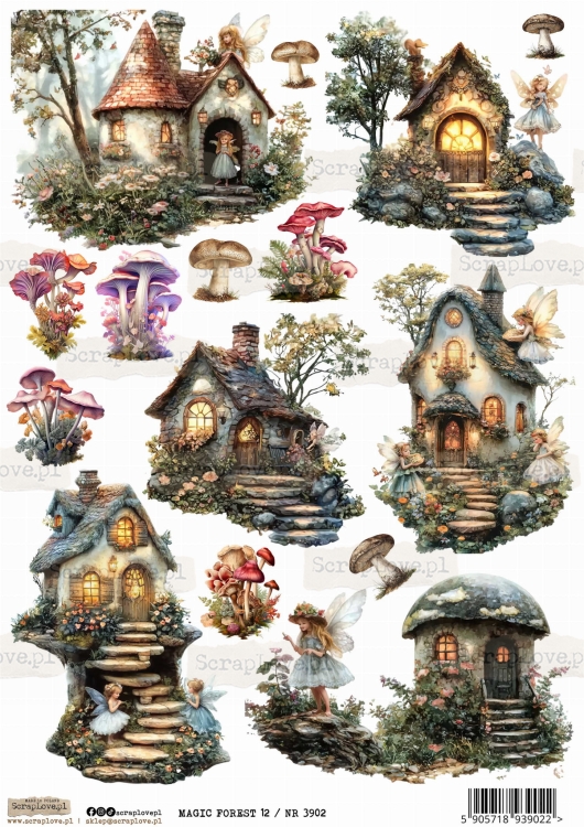 magic forest 12  :NR 3902.jpg