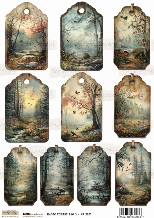 magic forest tag 3  :NR 3905.jpg