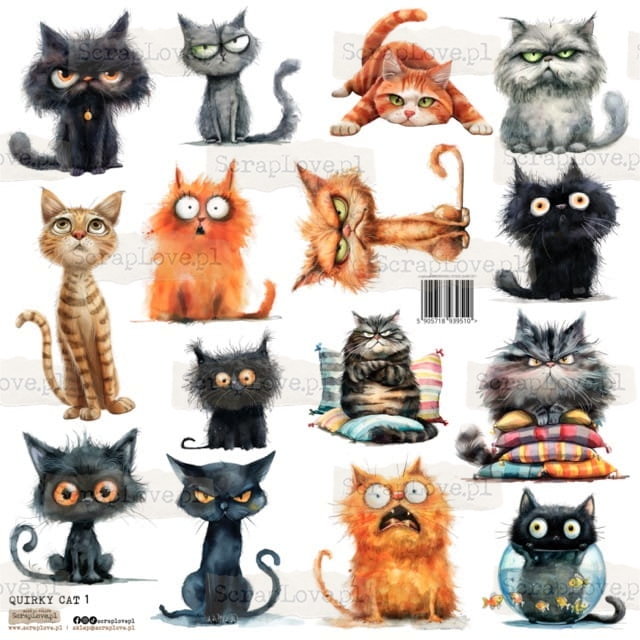 quirky cat 1P Średni.jpeg