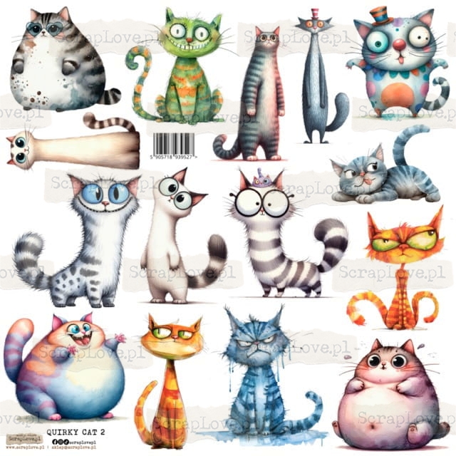 quirky cat 2p Średni.jpeg
