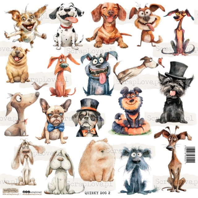 quirky dog 2p Średni.jpeg