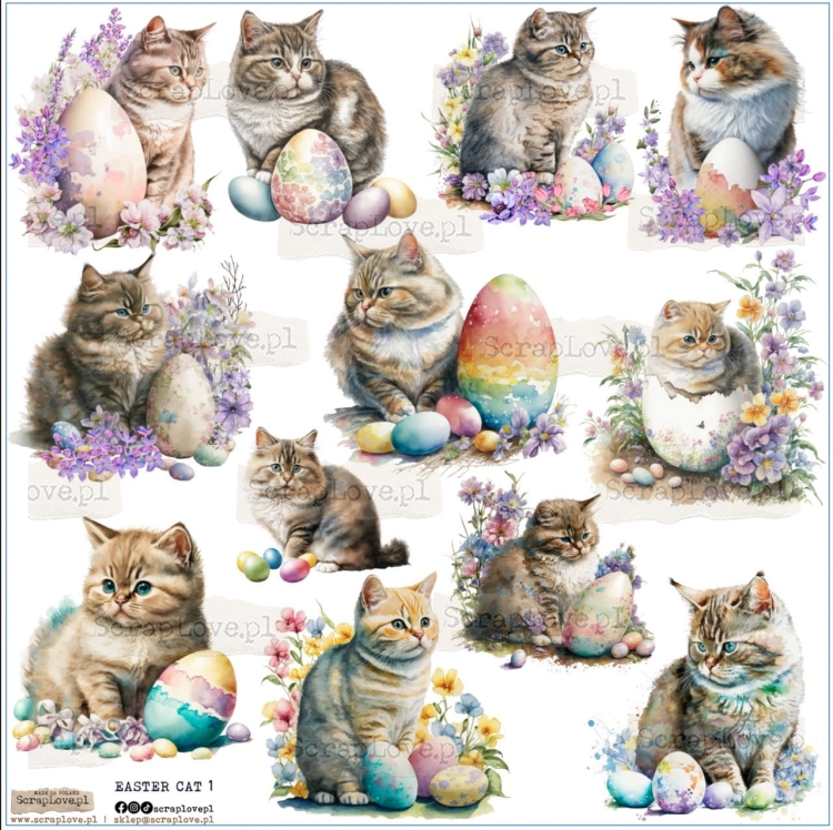 easter cat Duży.jpeg