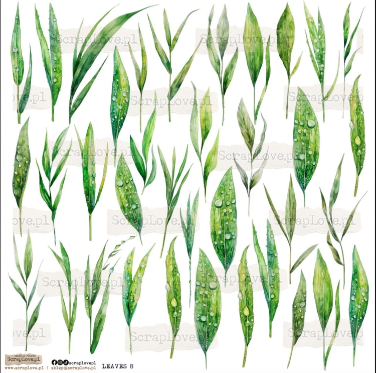 leaves 8 Duży.jpeg