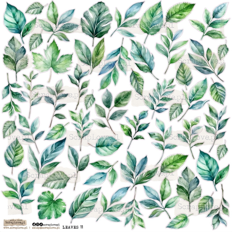 leaves 11  Duży.jpeg