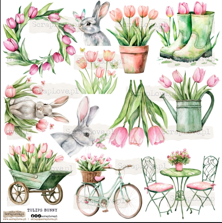 tulips bunny 1 Duży.jpeg