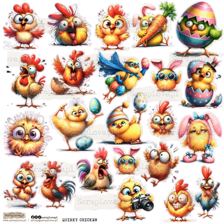 quirky chicken Duży.jpeg
