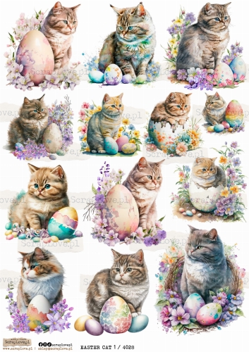 easter cat 1 4028.jpg
