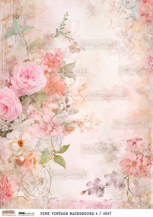 PINK vintage background 4 4047.jpg