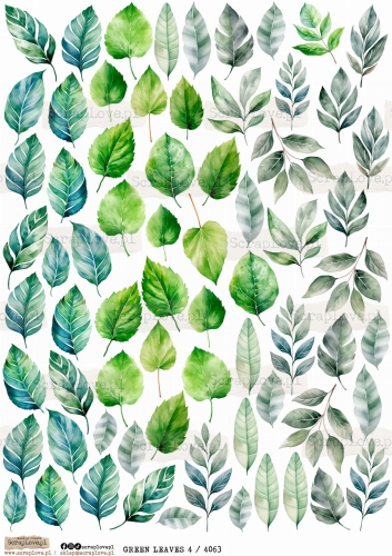 green leaves 4 4063.jpg