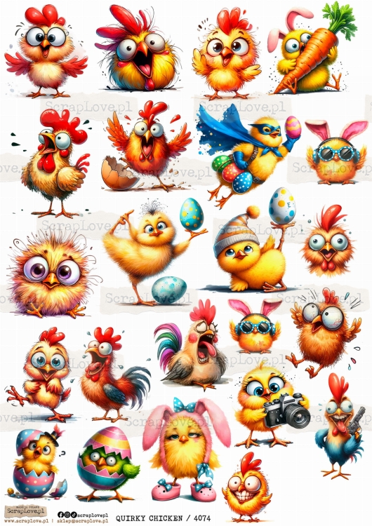 quirky chicken 4074.jpg