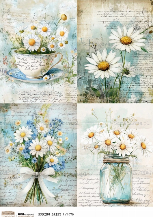 spring daisy 1 4076.jpg