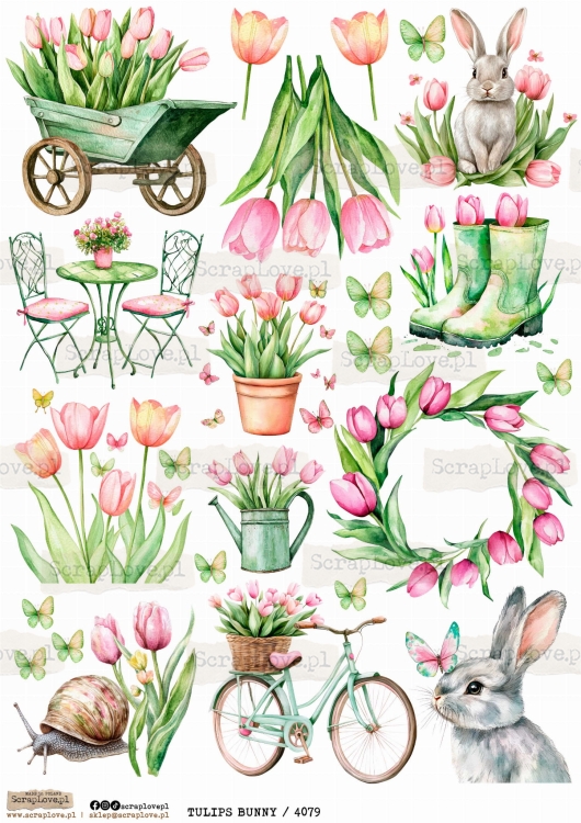 tulips bunny 4079.jpg