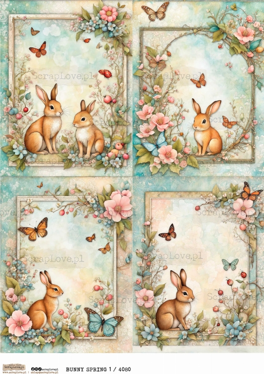 bunny spring 4080.jpg