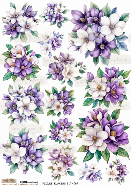 violet flowers 2 4081.jpg
