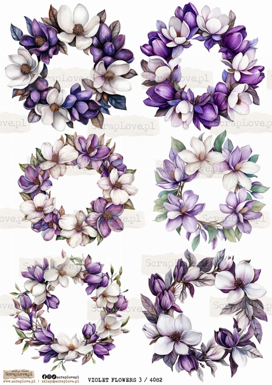 violet flowers 3 4082.jpg