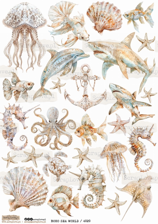 boho sea world 4020.jpg