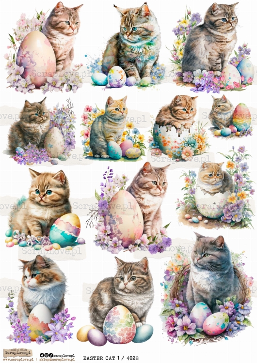 easter cat 1 4028.jpg