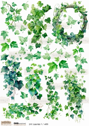 ivy leaves 4055.jpg