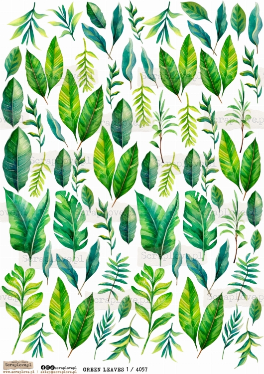 green leaves 1.jpg
