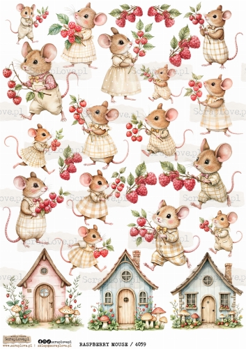 raspberry mouse 1 4059.jpg