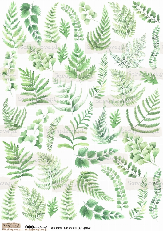 green leaves 3 4062.jpg