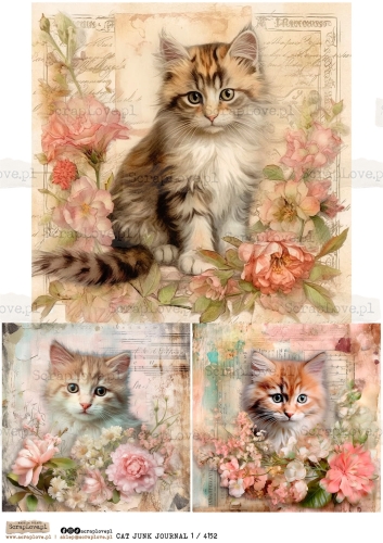 cat junk j 1 : 4152-1.jpg