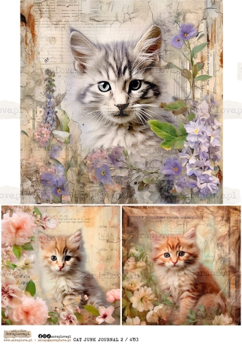cat junk j 2 : 4153-1.jpg