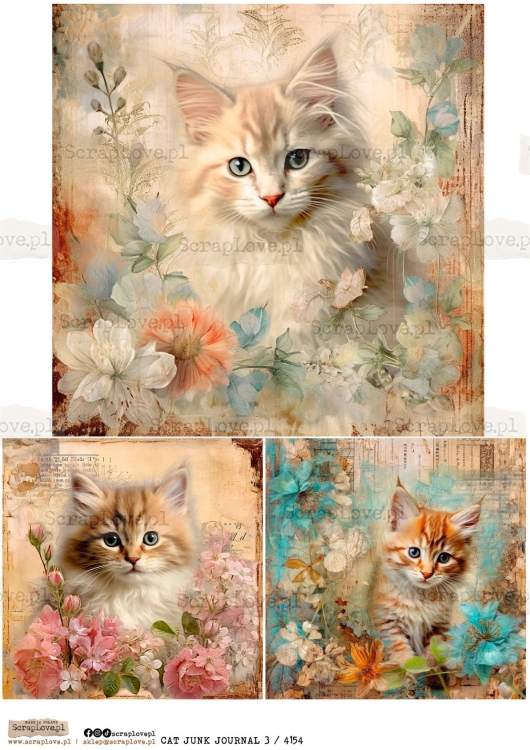 cat junk j 3 : 4154-1.jpg