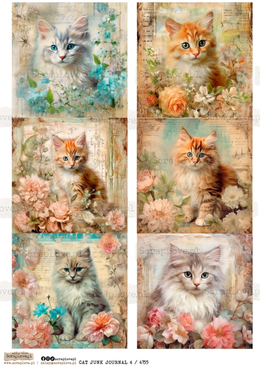 cat junk j 4 : 4155-1.jpg