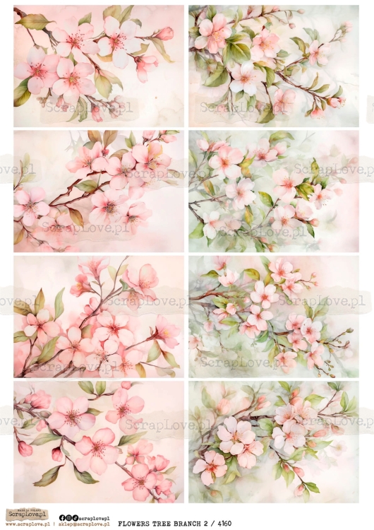 flowers tree branch 2 : 4160-1.jpg