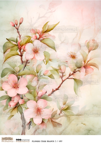 flowers tree branch 3 : 4161-1.jpg