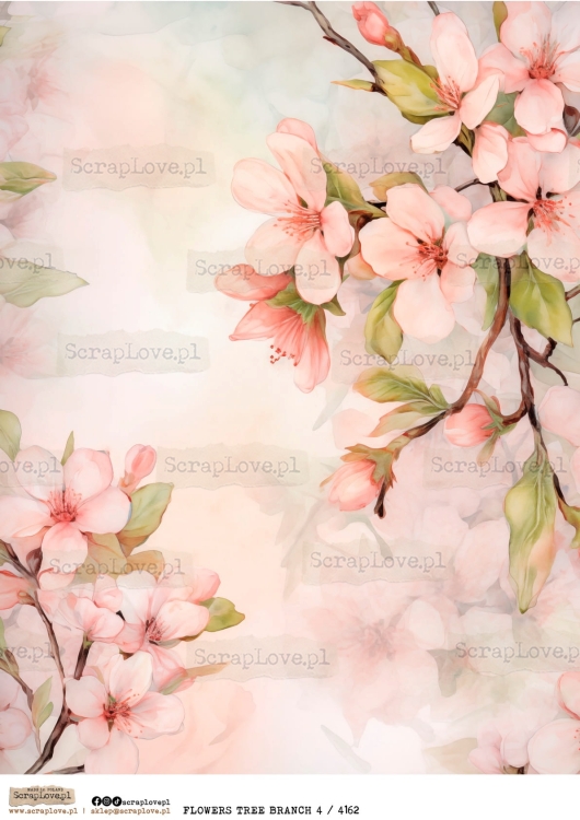 flowers tree branch 4 : 4162-1.jpg