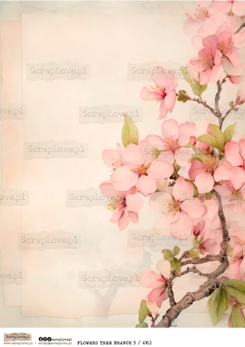 flowers tree branch 5 : 4163-1.jpg