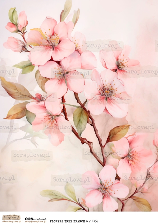 flowers tree branch 6 : 4164-1.jpg