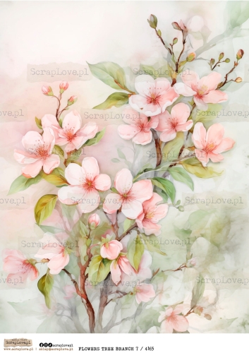 flowers tree branch 7 : 4165-1.jpg