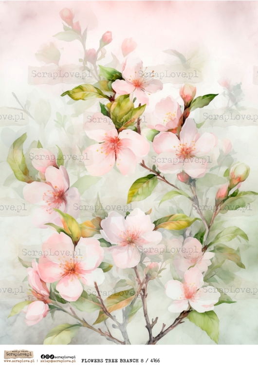 flowers tree branch 8 : 4166-1.jpg