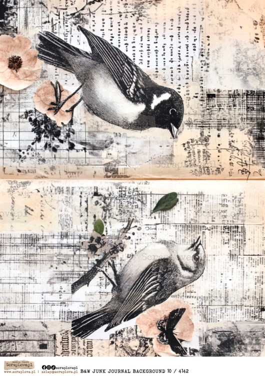 b&amp;w junk journal back 10 : 4142-1.jpg