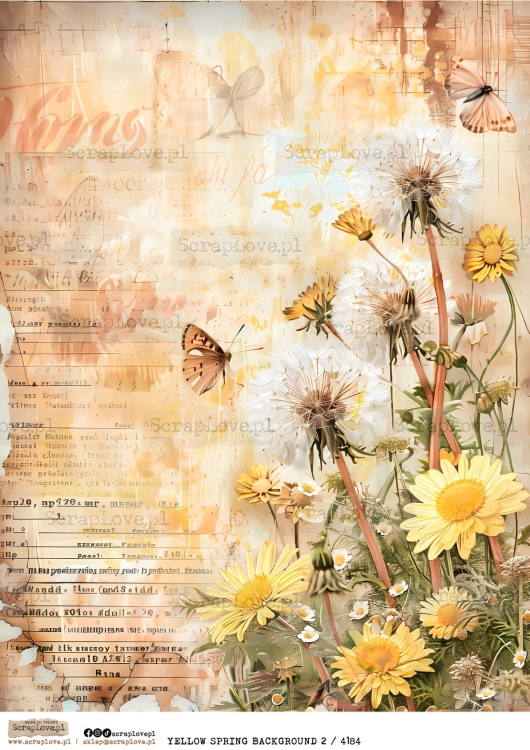 YELLOW SPRING BACKGROUND 2 :4184-1.jpg