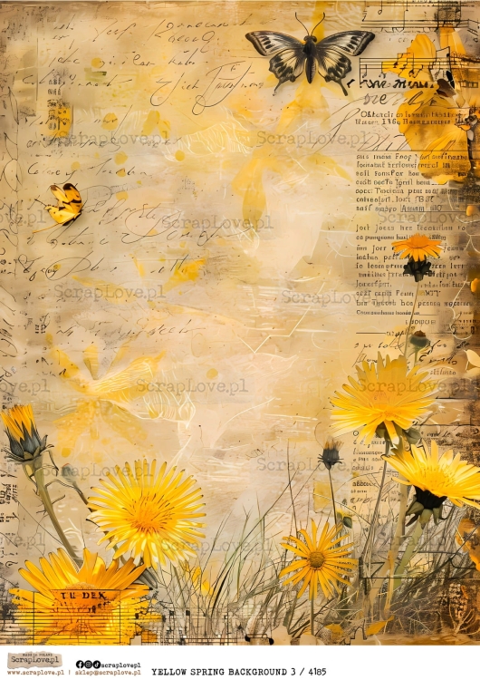 YELLOW SPRING BACKGROUND 3 :4185-1.jpg